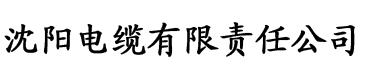 黄瓜视频成年人污电缆厂logo